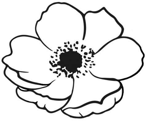 Poppy Colouring Pages