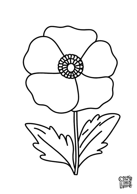 Poppy Flower Coloring