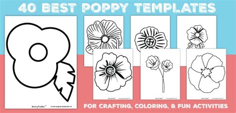 Poppy Flower Printable Template Best Flower Site