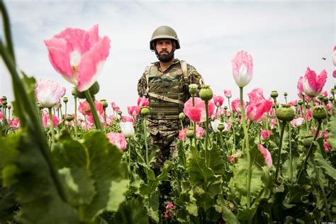 Poppy Torres  Kabul