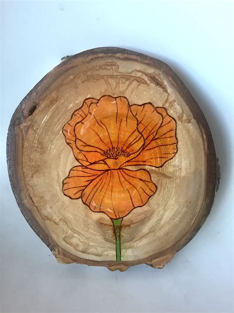 Poppy Wood Photo Xining
