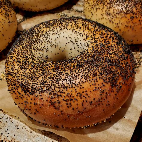 Poppy bagel. Bagel addicts may want to stick to sesame varieties for now. Alamy. Twenty years ago, the likelihood that a poppy seed bagel would register as a false positive prompted the federal government to ... 