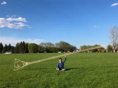 Popsicle sticks help Naperville teen land spot on Guinness World …