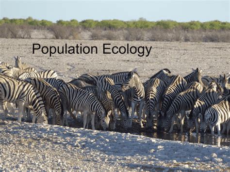 Population Ecology - Definition, Characte…