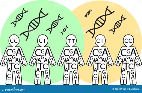 Population Genetics Group - Wikipedia