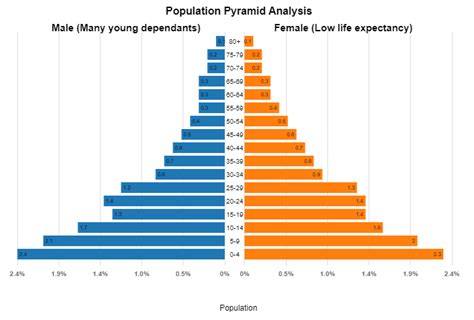 Population Pyramid Template