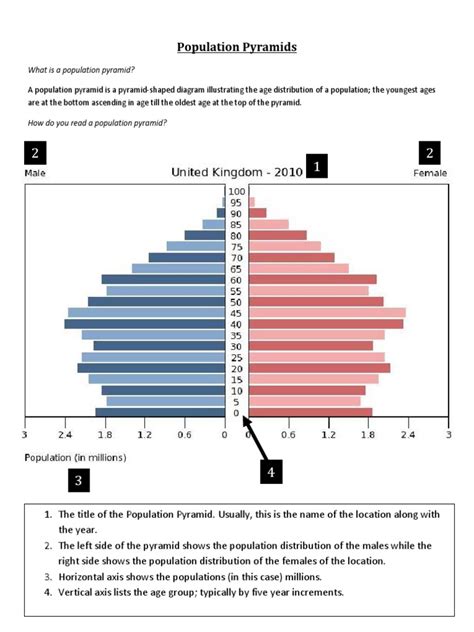 Population Pyramid Worksheet PDF Economies Human Development