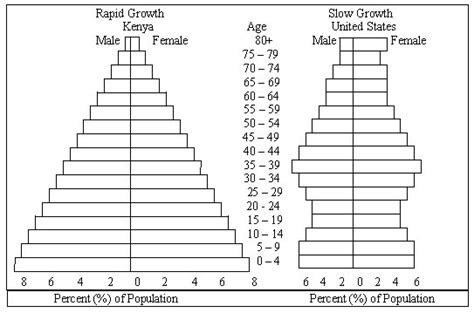 Population Pyramid Worksheet Worksheets For All Free Worksheets Samples