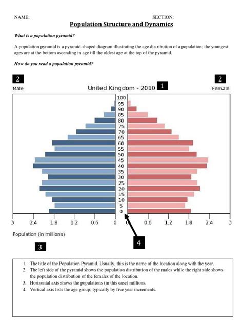 Population Pyramids PDF