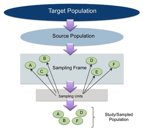 Population vs. Sample Flashcards Quizlet