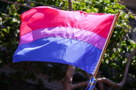 Por bisexual. Things To Know About Por bisexual. 