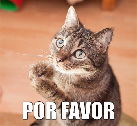 Por favor. Learn how to say "por favor" in English with examples of usage, synonyms, and related words. Find out the meaning and usage of "por favor" as a request, an expression of gratitude, or a way of politely asking someone to do something. 
