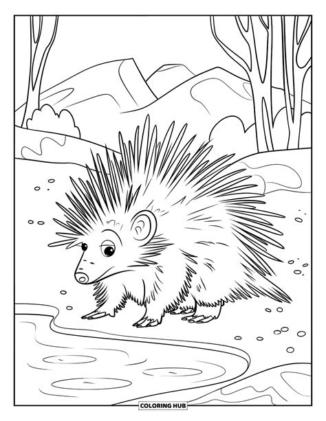 Porcupine Coloring Shee