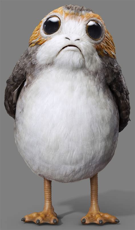 Porg star wars. Things To Know About Porg star wars. 