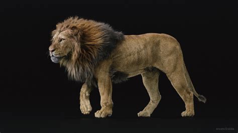 Porn model lion. .  <a href=https://emplato.com/assets/images/tpq2vt/inde...