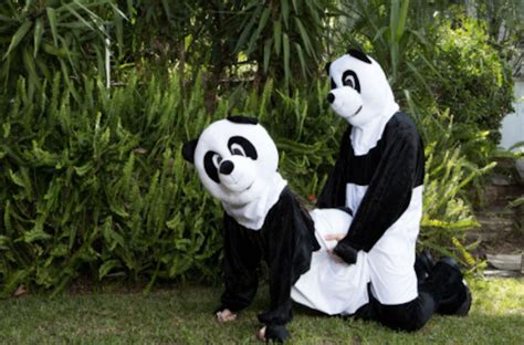 It’s true that panda sex isn’t exactly black and white. But experts say the notion that they are the most challenging animals to mate in captivity is patently unfair. “It’s complicated. It ...