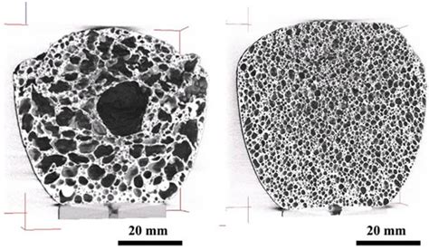 Porous Metals and Metal Foams - In Search of the