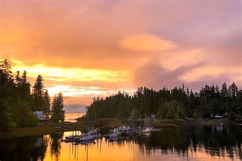 Port Protection Best Things to See and Do