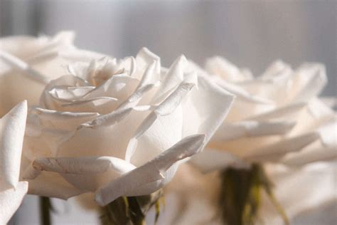 Port dover funeral home obituaries.  Powered by Tributearchive.  FORSYTH, Alexand...