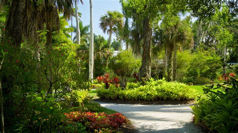 Port st lucie botanical gardens. Things To Know About Port st lucie botanical gardens. 