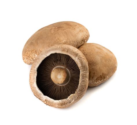 Portabellas - Learn everything about portabella mushrooms, from their health benefits and look-alikes to how to grow and cook them. Find out the difference between portabella …