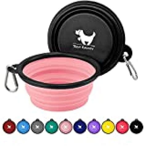 Portable water bowl for dogs