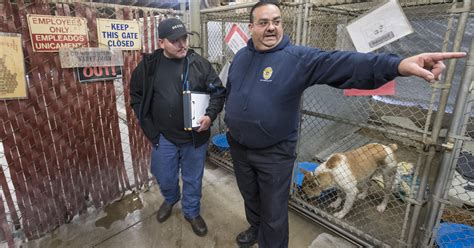 Porterville animal shelter photos. Jun 22, 2022. Two Porterville residents have filed a lawsuit against the City Porterville, listing several grievances in which they claim the city hasn't fulfilled its duties. John Duran and Eric John Duran filed the lawsuit last night in the federal Eastern District Court of California. The Porterville City Council discussed the lawsuit in ... 