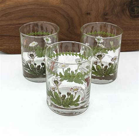 Portmeirion Botanic Garden Double Old Fashioned Glasses Set of …