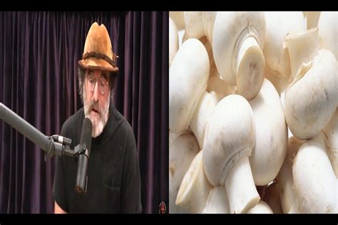Paul Stamets, a mycologist and mushroom advocate, refuses to eat portobellos because he considers them the mature version of white button mushrooms with lower nutrient content and potential mold exposure. He encourages people to explore other mushroom varieties for their health benefits and flavor.. 
