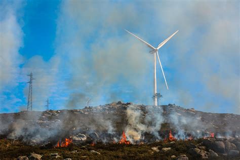 Portugal já registou mais de 7 mil hectares de área ardida em 2024