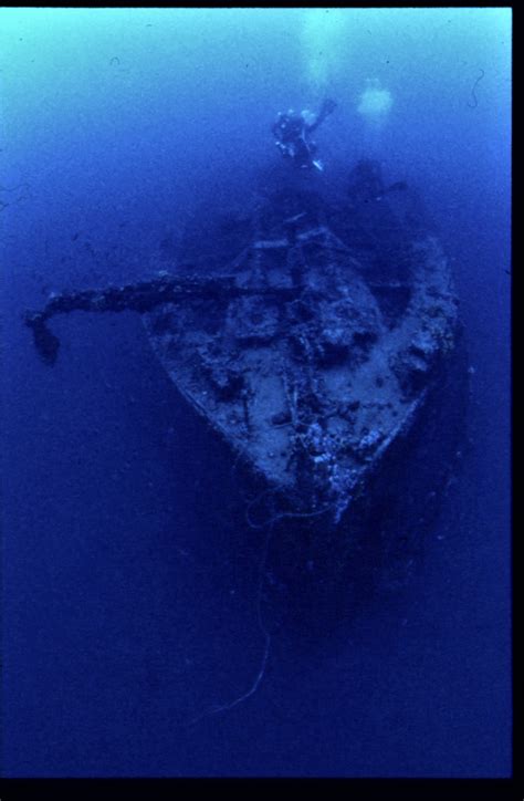 Poseidon shipwreck. Things To Know About Poseidon shipwreck. 