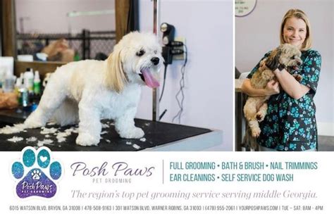 Posh Paws 1. Call Us. Give us a call. (478) 955-2061. Email Us. For general inquiries. yourposhpawsga@gmail.com. Address. 301 Watson Blvd, Warner Robins, GA, 31093. Posh Paws On The Go. Call Us. Give us a call. ( 478) 832-5825. Professional & Reliable. We are available via in person, email, or telephone.. 