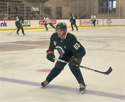 Position change a good fit for Wild fifth-round pick Aaron Pionk