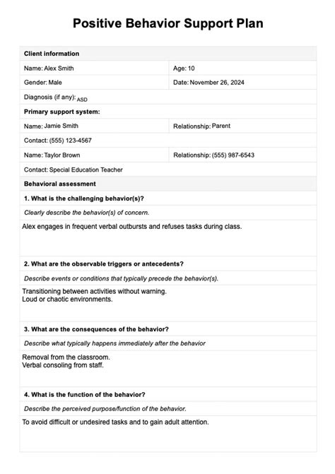 Positive Behaviour Support Plan Template