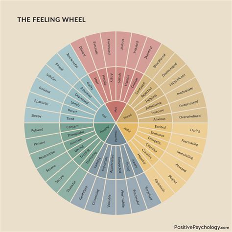 Positive psychology coaching certification.  Using an emotion wheel can enhance...
