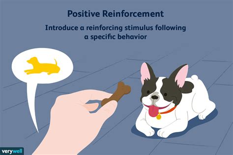 Positive reinforcemen. Positive reinforcement: Positive reinforcement is used to increase or strengthen a desired behavior by adding something rewarding following a behavior … 