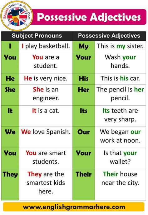 Possessive Grammar Rules in English, Definition and 100 Example