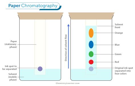 Possible Applications For Paper Chromatography