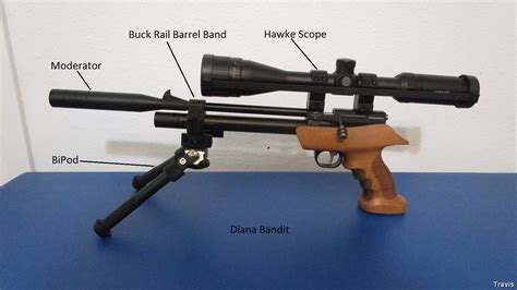 Possible Diana Chaser/Bandit Hybrid - Airgun Nation