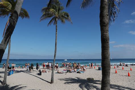 Possible Killer Whale Sighting Near Popular Pinellas County Beach