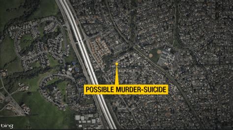 Possible murder-suicide reported in Danville