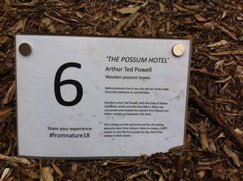 Possum box art... - Port Phillip Men