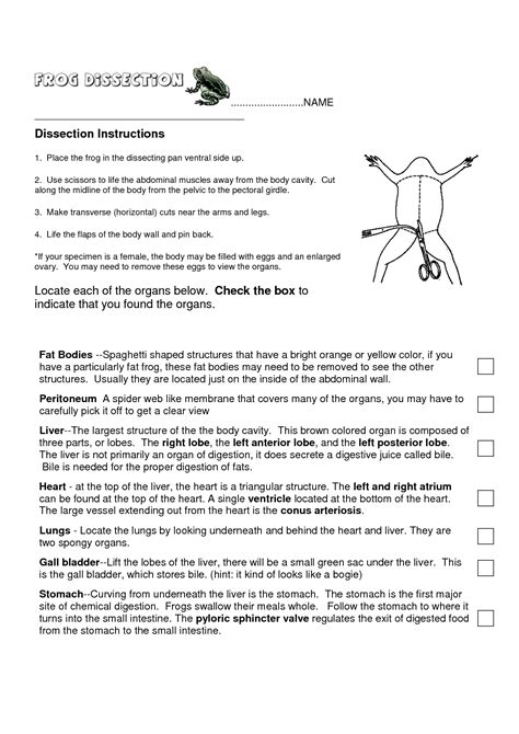 Post lab questions frog dissection teacher guide. - Yamaha yfm660rn 660 raptop atv quad service repair workshop manual.