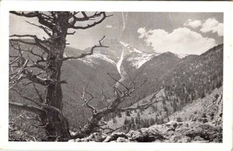 Postcard MOUNTAIN SCENE Buena Vista Colorado CO AL7719