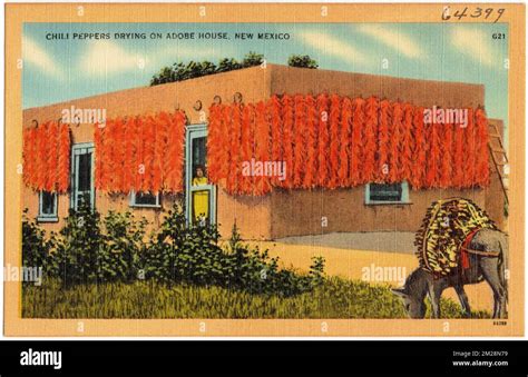 Postcard Red Pepper Chili Drying Adobe Home New Mexico A83