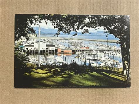 Postcard Washington Seattle WA Salmon Fishing Downtown