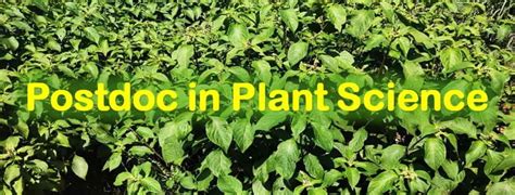 Postdoc plant science. .  ...