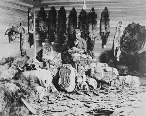 Postes de traite de fourrure sur la côte nord et dans l'outaouais. - Konsumpcja żywnościowa chłopska w królewstwie polskim w 2 połowie xix i w początkach xx wieku.