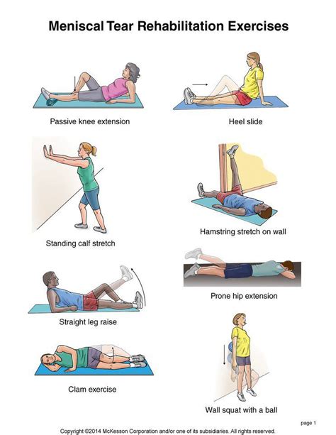 Postrehabilitation manual musculoskeletal injuries home stretching strengthening exercise programs for. - Manual do samsung gt c3510 em portugues.
