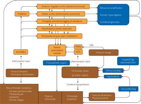 Postural tachycardia syndrome: a heterogeneous and multifactorial …